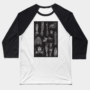 Vintage human anatomy pattern Baseball T-Shirt